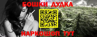 мдпв Кандалакша