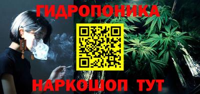 кокс Кингисепп